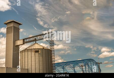 Die komplexen landwirtschaftlichen Siloanlagen für die Lagerung von Getreide auf blauem Himmel Hintergrund. Getreideverarbeitungskomplex zur groben Reinigung Stockfoto