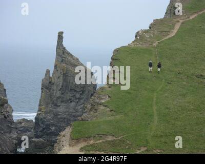 Der rätselhafte Stapel von Gunver Head. Merope Rocks. Südwestküstenweg. North Cornwall. West Country. England. VEREINIGTES KÖNIGREICH Stockfoto