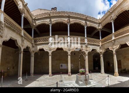 Salamanca / Spanien - 05 12 2021: Wundervoller Blick auf den Kreuzgang im Inneren des Gebäudes Casa de las Conchas Stockfoto