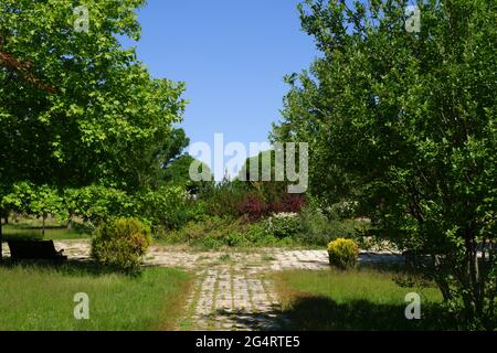 Bäume und Gras aus dem Hasan Onal Park Eskisehir Türkei Stockfoto