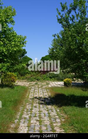 Bäume und Gras aus dem Hasan Onal Park Eskisehir Türkei Stockfoto