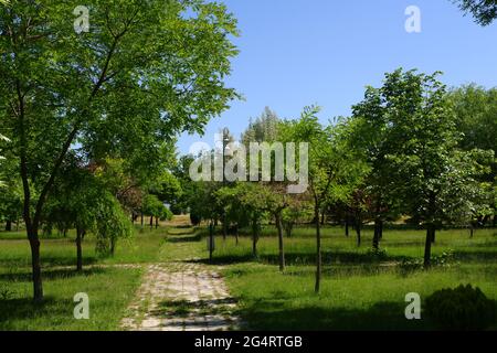 Bäume und Gras aus dem Hasan Onal Park Eskisehir Türkei Stockfoto