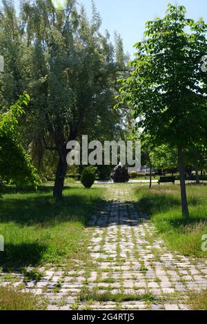 Bäume und Gras aus dem Hasan Onal Park Eskisehir Türkei Stockfoto