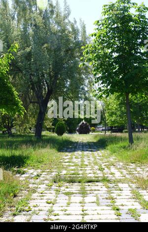 Bäume und Gras aus dem Hasan Onal Park Eskisehir Türkei Stockfoto