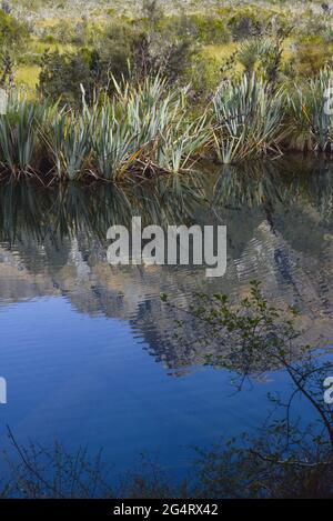 Mirror Lake in der Nähe von queenstown NZ Stockfoto