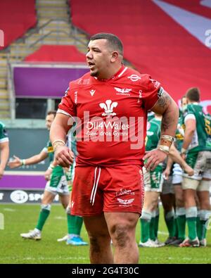 Llanelli, Wales. 20. Februar 2021. Rep Javan Sebastian von Scarlets während des Guinness PRO14-Spiels zwischen Scarlets und Benetton im Parc y Scarlets in Llanelli, Wales, Großbritannien, am 20. Februar 2021. Sportstadien in ganz Großbritannien unterliegen aufgrund der Coronavirus-Pandemie weiterhin strengen Beschränkungen, da staatliche Gesetze zur sozialen Distanzierung Fans innerhalb von Veranstaltungsorten verbieten, was dazu führt, dass Spiele hinter verschlossenen Türen gespielt werden. Quelle: Duncan Thomas/Majestic Media. Stockfoto