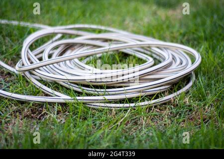 Aufgerollter Kunststoff-Gartenbewässerungsschlauch auf dem Gras. Stockfoto