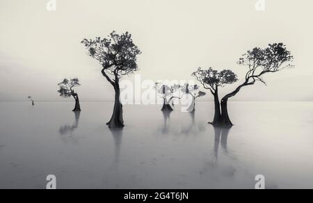 Sonnenuntergangsszenerie am Walakiri Beach, Sumba Island, Nusa Tenggara Timur, Indonesien Stockfoto