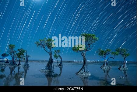 Landschaft am Walakiri Beach, Sumba Island, Nusa Tenggara Timur, Indonesien Stockfoto
