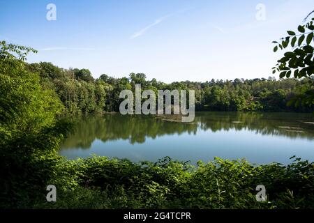 Der See Pionierbecken 3 im Königswald bei Köln, Nordrhein-Westfalen, Deutschland. Die Pionierbecken sind ehemalige Kiesgruben. Stockfoto