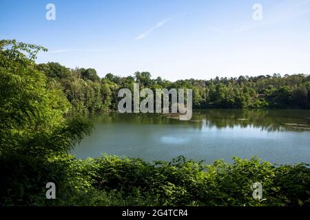 Der See Pionierbecken 3 im Königswald bei Köln, Nordrhein-Westfalen, Deutschland. Die Pionierbecken sind ehemalige Kiesgruben. Stockfoto