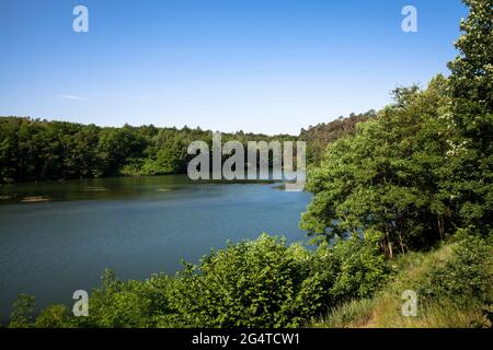 Der See Pionierbecken 3 im Königswald bei Köln, Nordrhein-Westfalen, Deutschland. Die Pionierbecken sind ehemalige Kiesgruben. Stockfoto