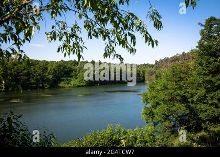 Der See Pionierbecken 3 im Königswald bei Köln, Nordrhein-Westfalen, Deutschland. Die Pionierbecken sind ehemalige Kiesgruben. Stockfoto