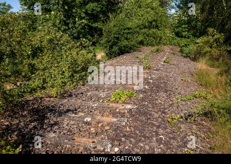 Gleise der ehemaligen Tankladestation am See Pionierbecken 3 im Königswald bei Köln, Nordrhein-Westfalen, Deutschland. Ein Relikt aus Stockfoto