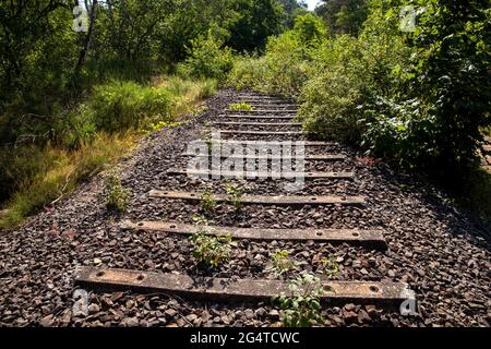 Gleise der ehemaligen Tankladestation am See Pionierbecken 3 im Königswald bei Köln, Nordrhein-Westfalen, Deutschland. Ein Relikt aus Stockfoto