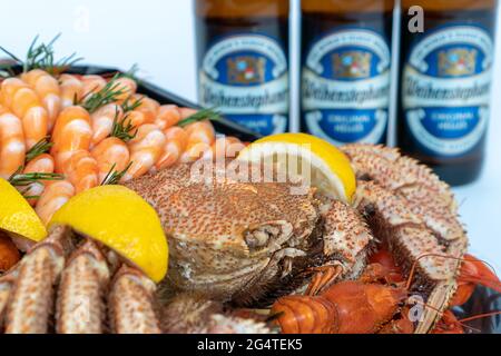 Drei Flaschen Bier neben Meeresfrüchten. Die Bayerische Staatsbrauerei Weihenstepher ist die älteste der Welt. Das beste Geschenk für einen Mann. Russland, Tatarstan, Ju Stockfoto