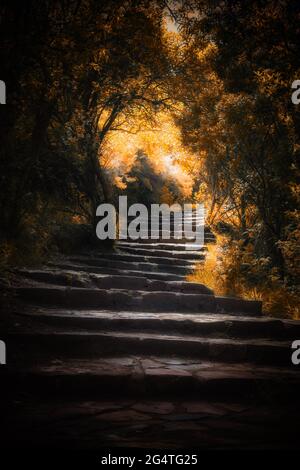 Steintreppen Gehweg durch einen herbstlichen Wald. Warm getöntes Laub und Vignette mit verträumter und atmosphärischer Verarbeitung. Stockfoto