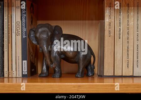 Bronzene Elefantenfigur auf einem Regal unter Büchern Stockfoto