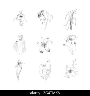 Vektor-Illustrationen Blumen, Blätter und Beeren von Hand gezeichnete Elemente. Tätowierung Stock Vektor