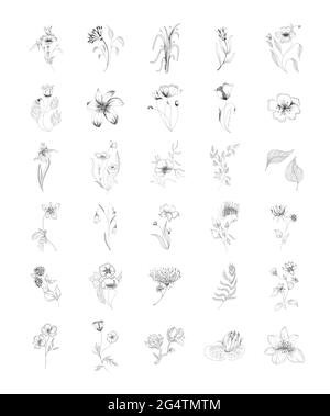 Vektor-Illustrationen Blumengestelle Blumen, Blätter und Äste. Handgezeichnete Design-Elemente im Skizzenstil. Perfekt für Einladungen, Grußkarten Stock Vektor