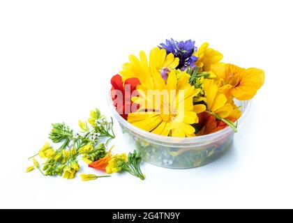 Essbare Blumen Sortiment. Viele Sorten frischer Blumen, die in einem Behälter gelagert werden, wie Calendula, Pansy, Rapini, Cornflower, Kapuzinerkresse, Kale und A Stockfoto
