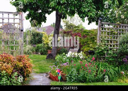Hinterer Garten in einem privaten Haus in vollen Sommerfarben, Shepperton Surrey England Großbritannien Stockfoto