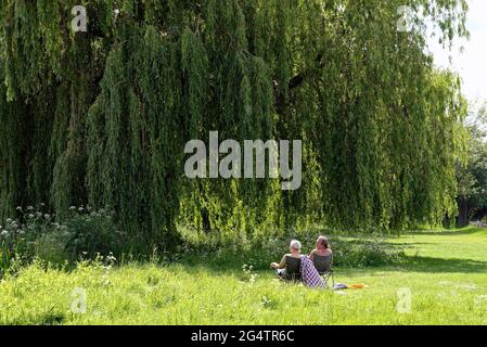 Eine Rückansicht eines Paares mittleren Alters, das an einem heißen, sonnigen Sommertag in Shepperton an der Themse unter einem weinenden Weidenbaum sitzt Stockfoto