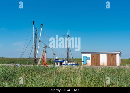 Mastaufbau eines Garnelenschneiders im Naturhafen, Spieka, Niedersachsen, Deutschland, Europa Stockfoto