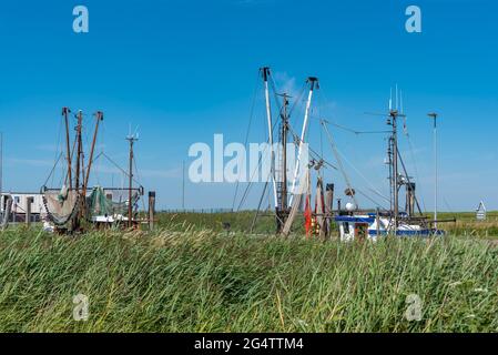 Mastaufbau eines Garnelenschneiders im Naturhafen, Spieka, Niedersachsen, Deutschland, Europa Stockfoto