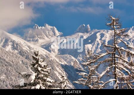 Sonnenbeschienenen Blick auf zwei Berggipfel in der Zentralschweiz, Great Spannort links und Little Spannort rechts, oberhalb von Engelberg mit Bäumen Stockfoto