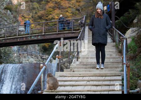 Touristen im Jigokudani Monkey Park in Yamanouchi, Präfektur Nagano, Japan Stockfoto