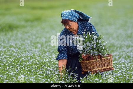 22. Juni 2021, Brandenburg, Dürrenhofe: Gisela Christl (Spreewald Christl) steht in sorbisch-wendischem Arbeitskostüm am Rande einer Pressekonferenz zur Ölflachsblüte auf einem Feld der Landwirtschaftsgenossenschaft Unterspreewald z.B. mit blühendem Ölflachs. Flachs, aus dem die Müller das Spreewald-Leinöl pressen, wächst auf rund 160 Hektar Ackerland im Spreewald. Aufgrund des warmen Wetters beginnen die Flachskulturen derzeit zu blühen. Der Leinsamen ist eine traditionelle Kultur des Spreewaldes. Die Produktion von Leinöl ist seit Generationen in der Region verwurzelt. Stockfoto