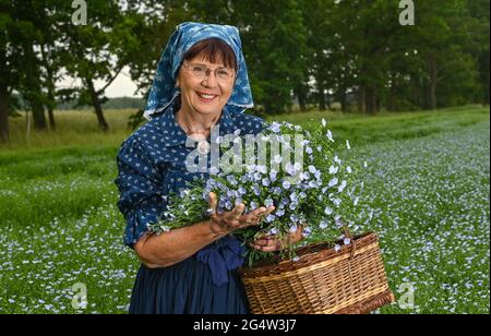 22. Juni 2021, Brandenburg, Dürrenhofe: Gisela Christl (Spreewald Christl) steht in sorbisch-wendischem Arbeitskostüm am Rande einer Pressekonferenz zur Ölflachsblüte auf einem Feld der Landwirtschaftsgenossenschaft Unterspreewald z.B. mit blühendem Ölflachs. Flachs, aus dem die Müller das Spreewald-Leinöl pressen, wächst auf rund 160 Hektar Ackerland im Spreewald. Aufgrund des warmen Wetters beginnen die Flachskulturen derzeit zu blühen. Der Leinsamen ist eine traditionelle Kultur des Spreewaldes. Die Produktion von Leinöl ist seit Generationen in der Region verwurzelt. Stockfoto