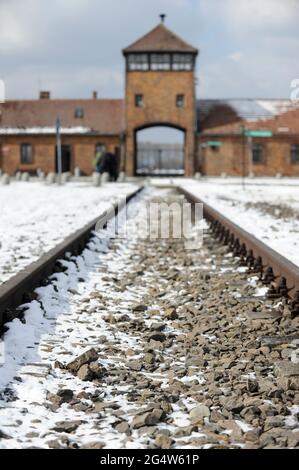 POLEN, Oswiecim, Auschwitz-Birkenau, Konzentrationslager des deutschen Nazi-Regimes, wo 1 Million juden von der SS (1940–1945) ermordet wurden, Eisenbahnstrecke für den Transport jüdischer Menschen aus ganz europa zu den Gaskammern Stockfoto