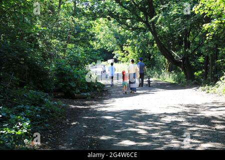 Parkland Walk, ein linearer Park, früher eine Eisenbahnlinie, der vom Finsbury Park nach Muswell Hill und heute ein Naturschutzgebiet im Norden Londons, Großbritannien, führt Stockfoto