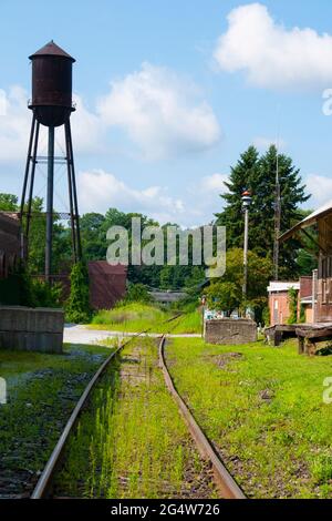 Alter rostiger Wasserturm neben überwucherten Eisenbahnschienen Stockfoto