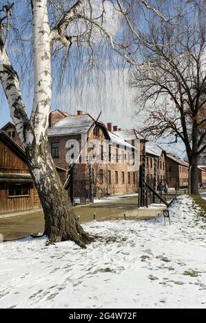 POLEN , Oswiecim, Auschwitz I, Konzentrationslager des deutschen Nazi-Regimes (1940–1945) , Tor mit den zynischen deutschen Worten: Arbeit macht frei , engl. Work Sets free / POLEN, Auschwitz I Stammlager, deutsches nationalsozialistisches Konzentrations- und Vernichtungslager (1940–1945), Tor mit Aufschrift Arbeit macht frei Stockfoto