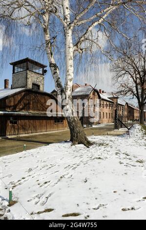POLEN , Oswiecim, Auschwitz I, Konzentrationslager des deutschen Nazi-Regimes (1940–1945) , Tor mit den zynischen deutschen Worten: Arbeit macht frei , engl. Work Sets free / POLEN, Auschwitz I Stammlager, deutsches nationalsozialistisches Konzentrations- und Vernichtungslager (1940–1945), Tor mit Aufschrift Arbeit macht frei Stockfoto