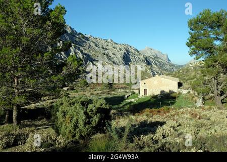 Puig Mayor, Mallorca Balearen Stockfoto