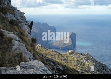 Vuelta Cricula Puig Roig, Mallorca, Balearen Stockfoto