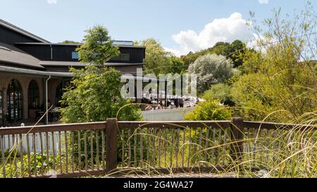 Ebeltoft, Dänemark - 21. Juli 2020: Die Leute sitzen und essen und trinken auf der Terrasse eines Restaurants Stockfoto