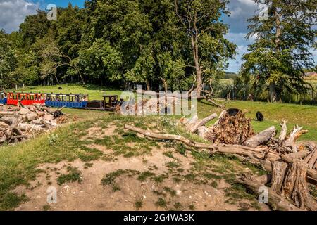 Ebeltoft, Dänemark - 21. Juli 2020: Kleine Züge fahren durch ein Gebiet von braunen und schwarzen Bären, in der Nähe von Bären, Stockfoto