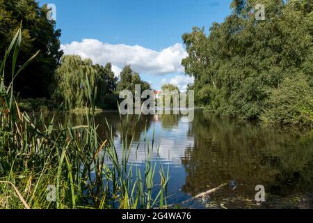 Ebeltoft, Dänemark - 21. Juli 2020: Schöner See umgeben von großen Bäumen Stockfoto
