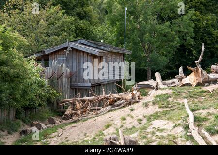 Ebeltoft, Dänemark - 21. Juli 2020: Alte Holzhütte, umgeben von zerrissenden Bäumen Stockfoto