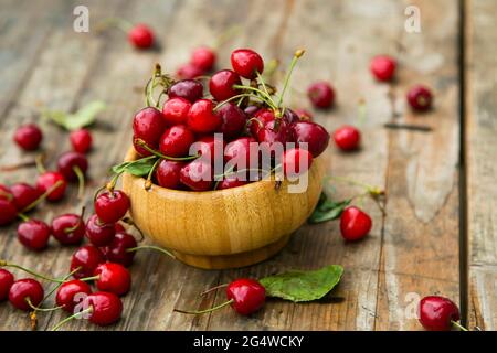 Kirsche Bio-Beeren ernten. Frische Kirschen für Marmelade, Saft, Smoothie, Kompott, Desserts und Kuchen. Bio-Früchte im Dorf Stockfoto