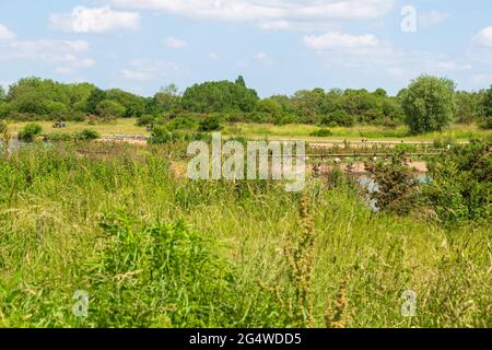 Jubilee Pond, Wanstead Wohnungen, Park, Forest Gate, E7, London, großbritannien Stockfoto