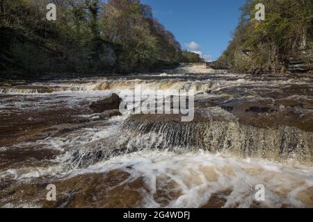 Spektakuläre Aysgarth Falls in den wunderschönen Yorkshire Dales Stockfoto
