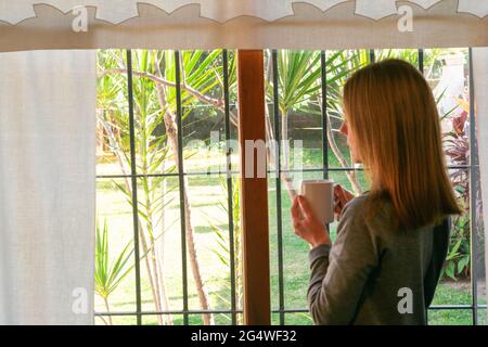 Frauen im Profil stehen und trinken aus einer Tasse, die durch ein Fenster in den Garten blickt Stockfoto