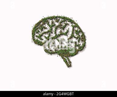 3D das menschliche Gehirn ist mit grünem Wald bedeckt. Think Green Concept Wildes, natürliches oder unvollkommenes Intelligenzhirn auf weißem Hintergrund isoliert. Stockfoto