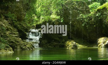 Der Fluss im Regenwald inmitten der grünen üppigen Vegetation. Bohol, Philippinen. Danicop Ticugan Spring. Stockfoto
